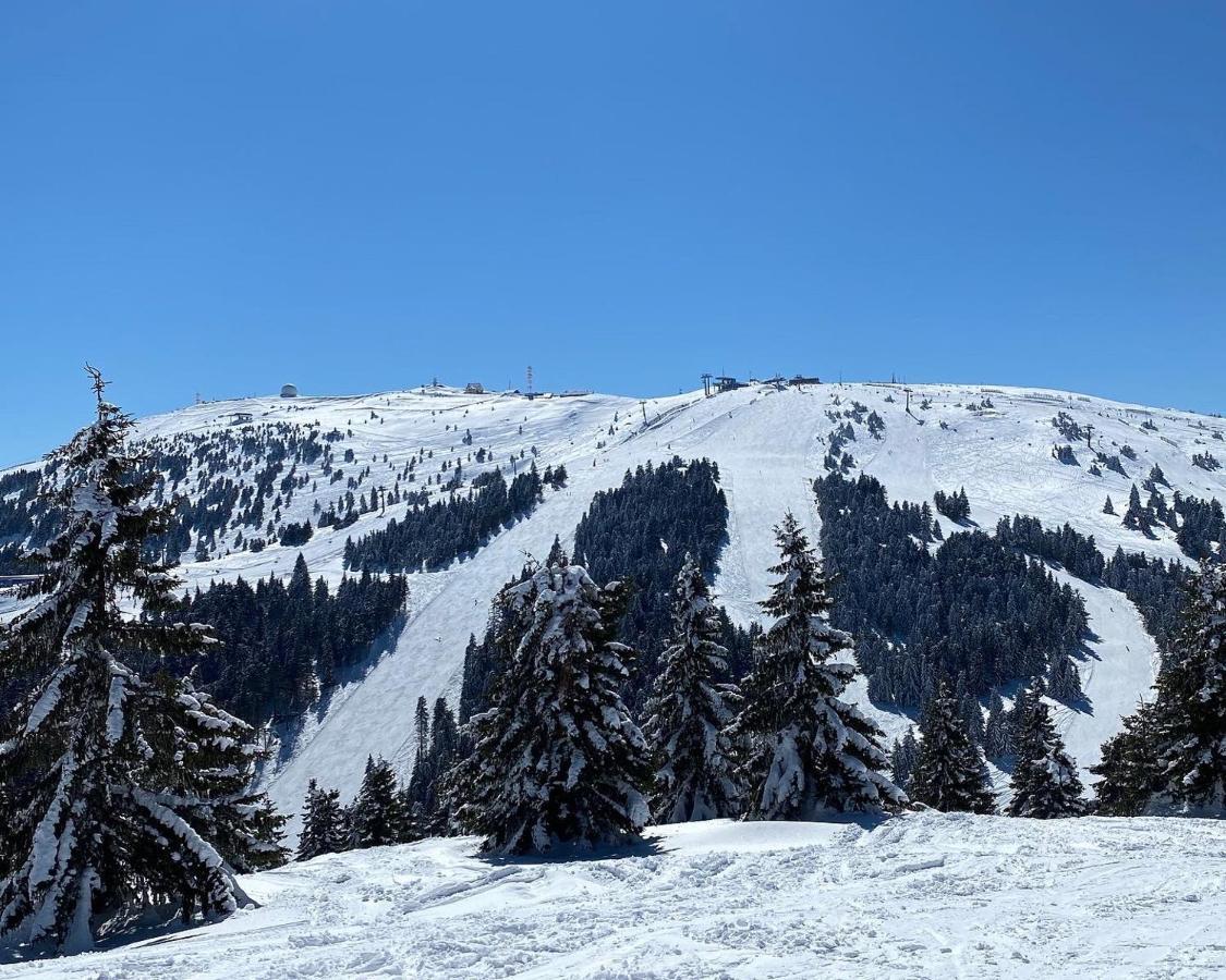 Ski&Spa Milmari L17 Kopaonik Bagian luar foto